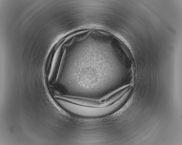 X0000110880989200907021453