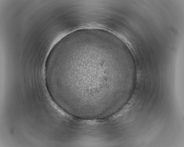 X0000110880990200907021453