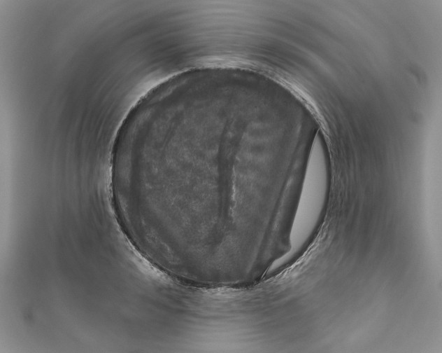 X0000110880992200907021453