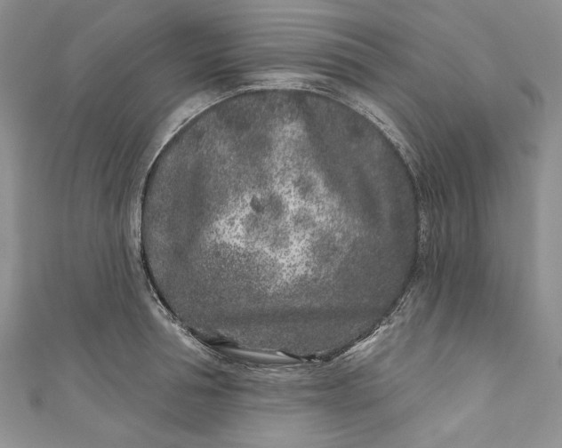 X0000110880994200907021453