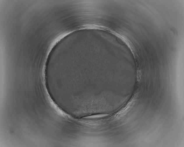 X0000110880995200907021453