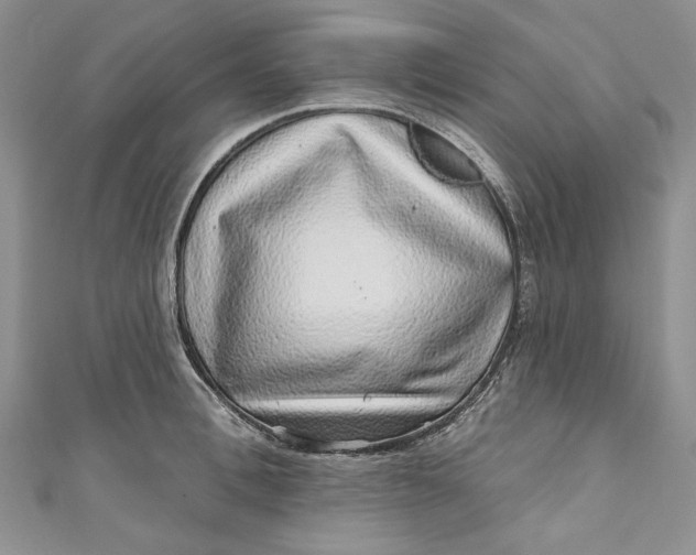 X0000110880996200907021453