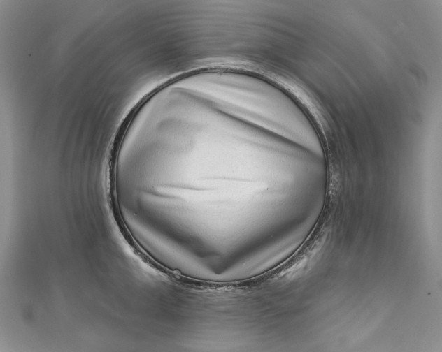 X0000110880999200907021453