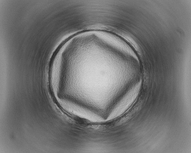 X0000110881000200907021453