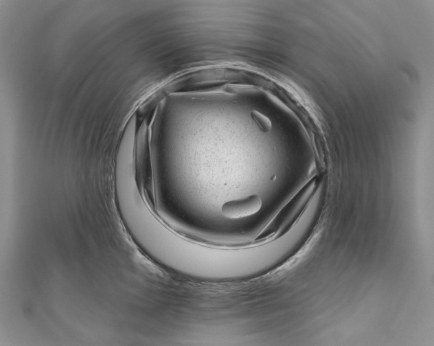 X0000110881001200907021453