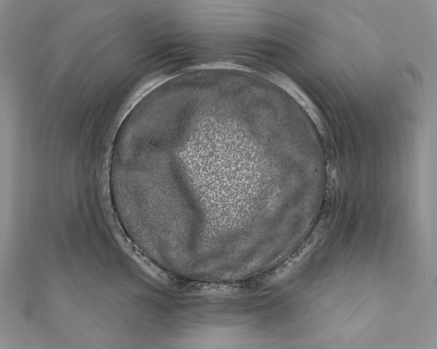 X0000110881002200907021453