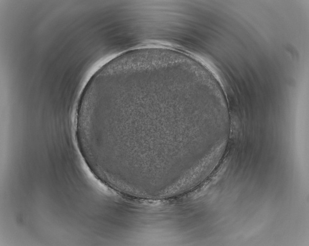 X0000110881003200907021453