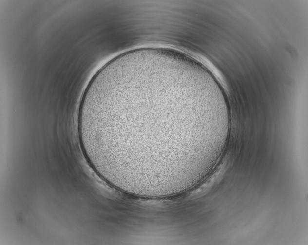 X0000110881004200907021453