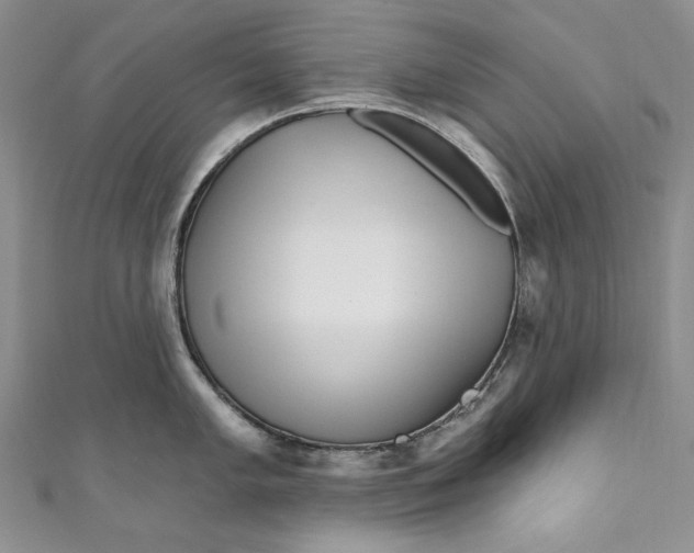X0000110881005200907021453