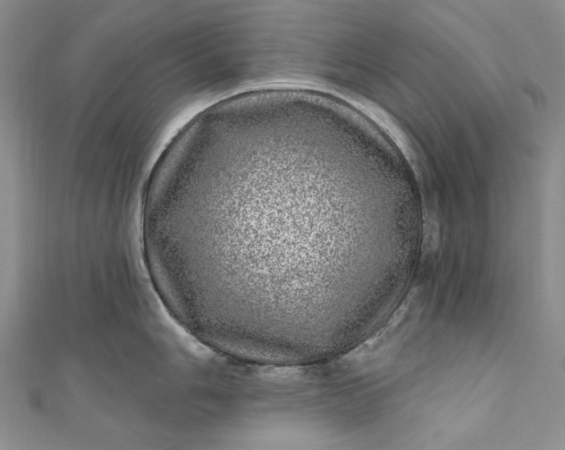 X0000110881006200907021453
