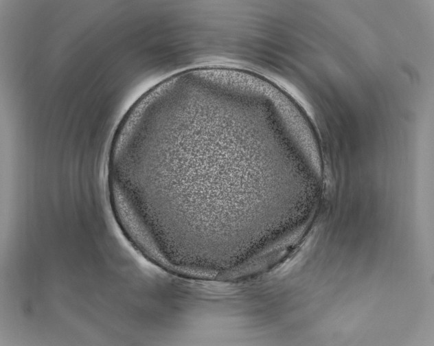 X0000110881007200907021453