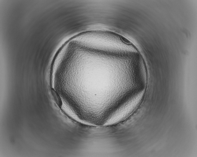 X0000110881008200907021453