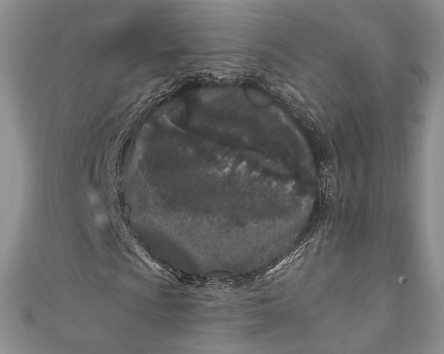 X0000110881009200907021452