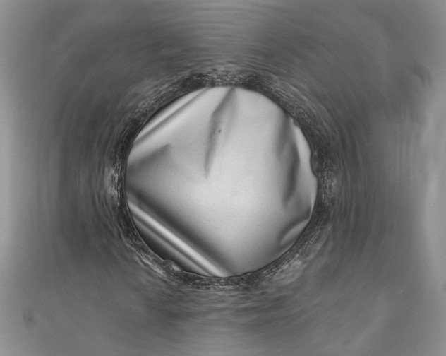 X0000110881010200907021452