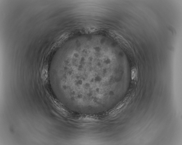 X0000110881011200907021452