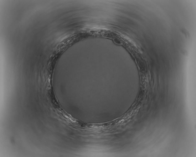 X0000110881013200907021452