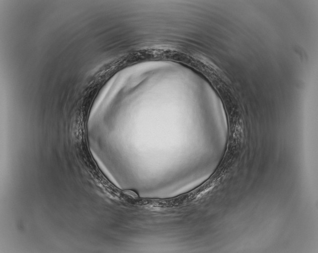 X0000110881014200907021452