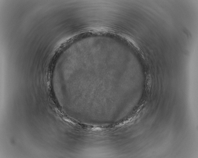 X0000110881016200907021452
