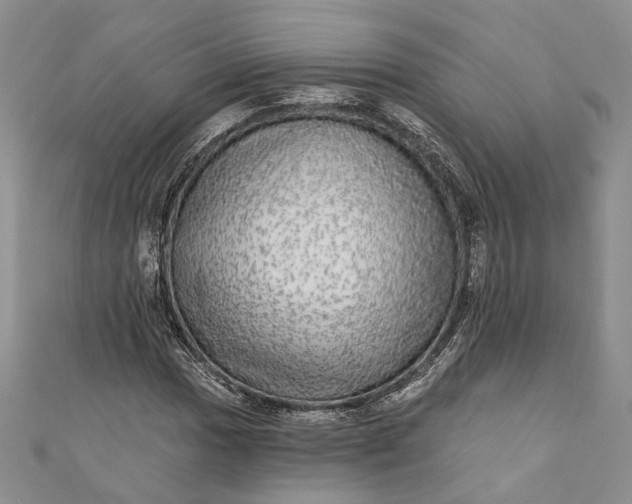 X0000110881017200907021452