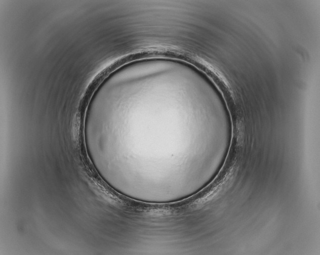 X0000110881021200907021452