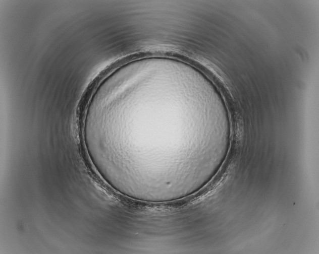 X0000110881022200907021452