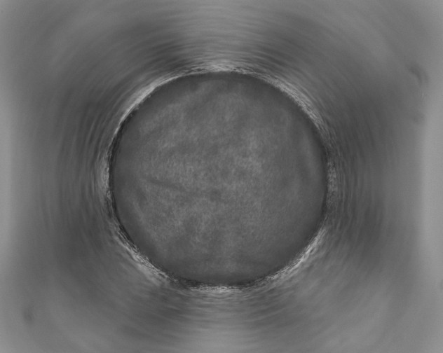 X0000110881023200907021452