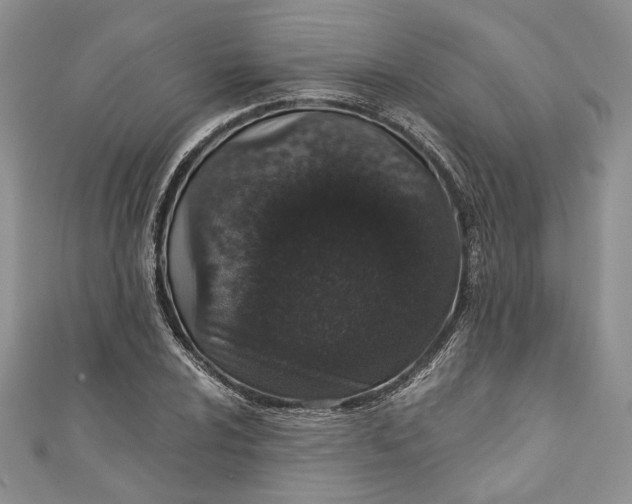 X0000110881024200907021452