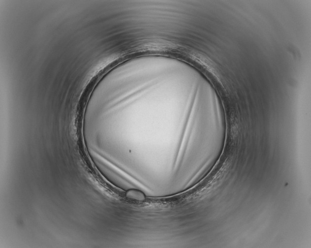 X0000110881026200907021452