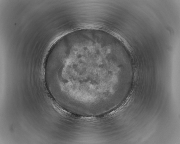 X0000110881027200907021452