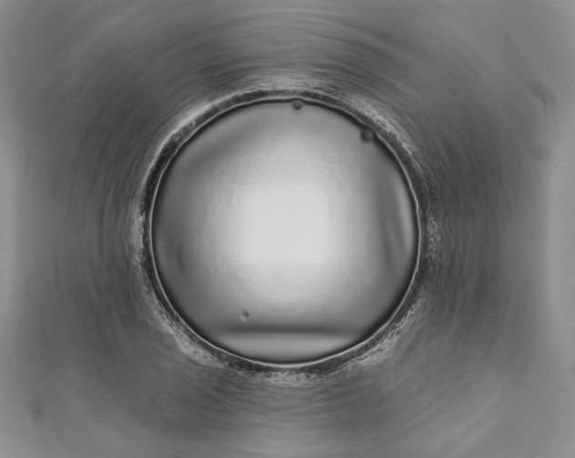 X0000110881029200907021452