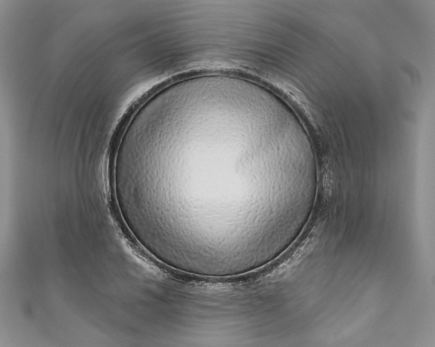 X0000110881030200907021452