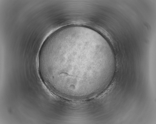 X0000110881032200907021452