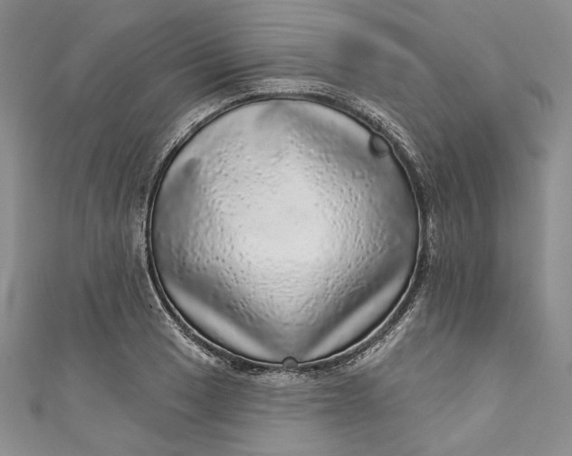 X0000110881033200907021453