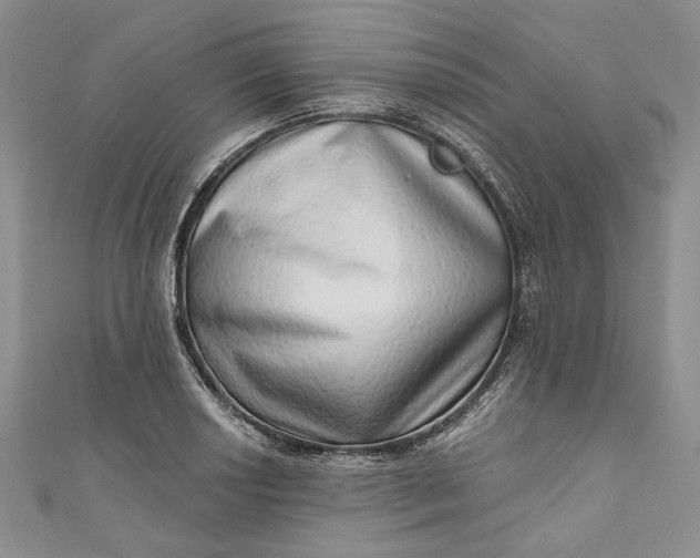 X0000110881034200907021453