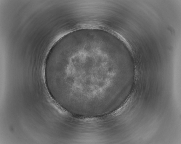 X0000110881035200907021453
