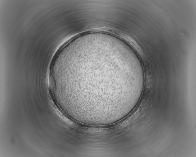 X0000110881036200907021453