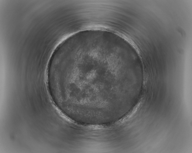 X0000110881037200907021453