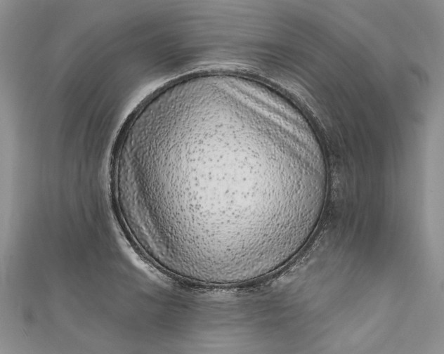 X0000110881038200907021453