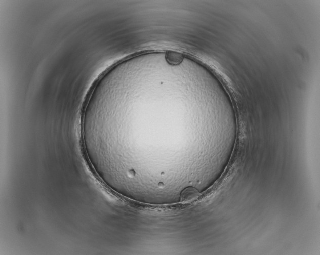 X0000110881040200907021453