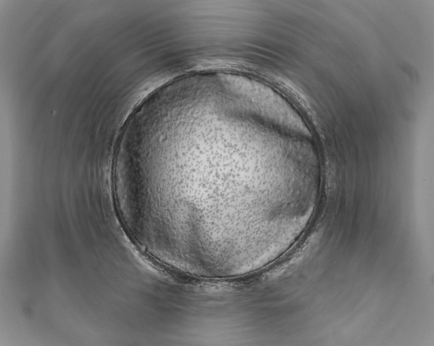 X0000110881041200907021453