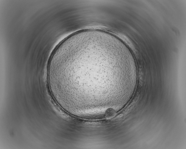 X0000110881044200907021453