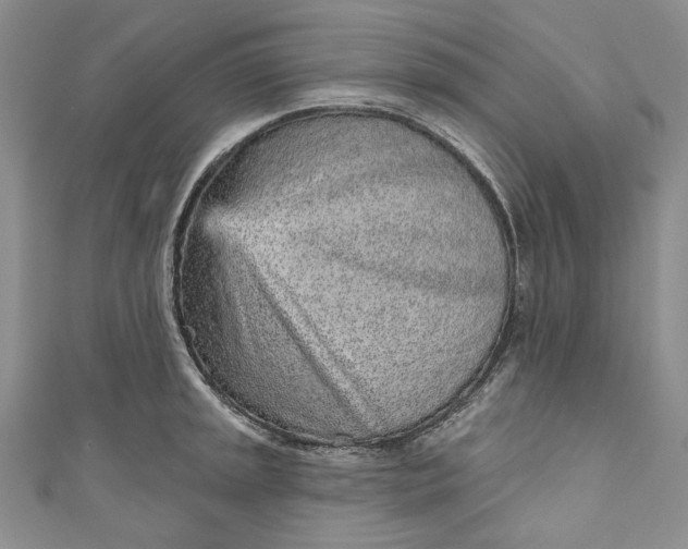 X0000110881045200907021453