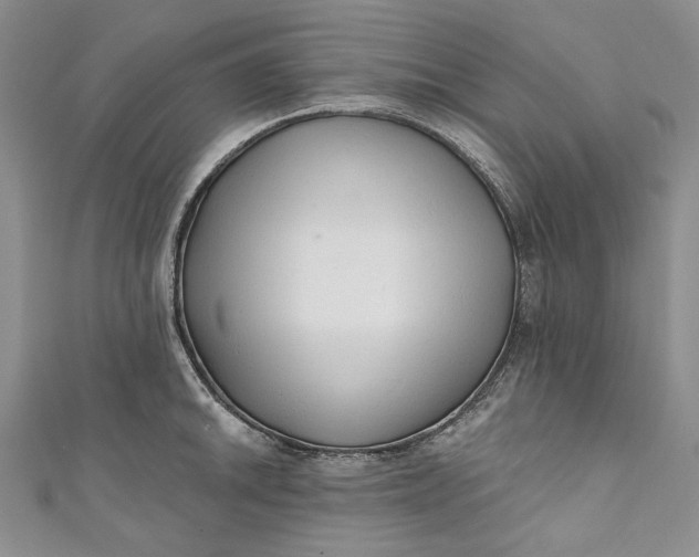 X0000110881046200907021453