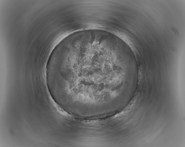 X0000110881047200907021453