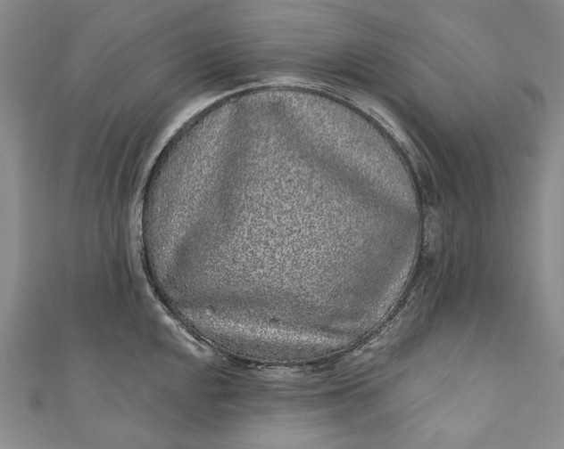 X0000110881048200907021453