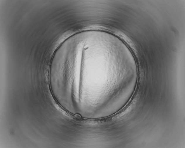 X0000110881049200907021453