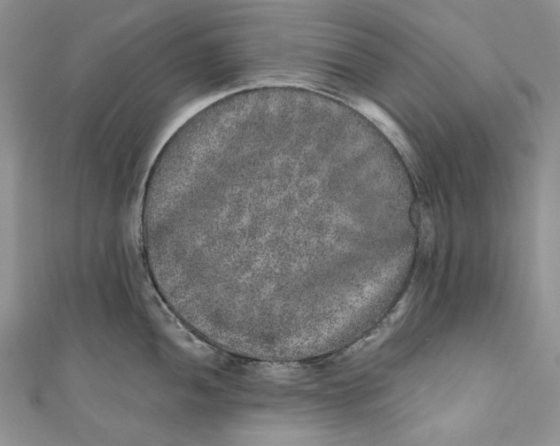 X0000110881052200907021453