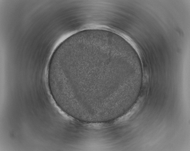 X0000110881053200907021453