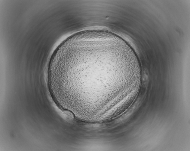 X0000110881054200907021453