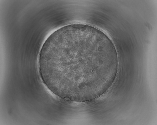 X0000110881056200907021453